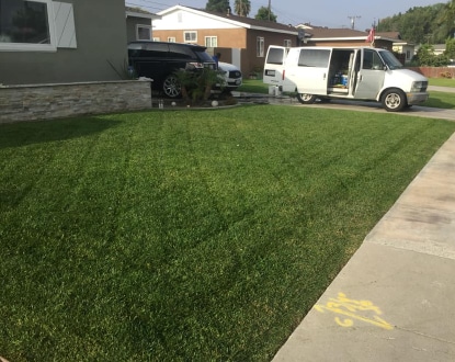 LAWN CARE SERVICE